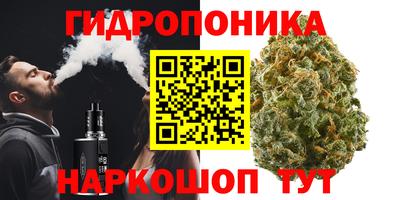 spice Партизанск
