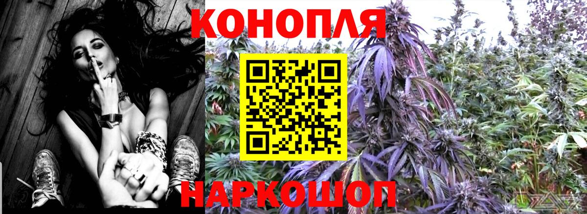 Свободный  Марихуана OG Kush  Канабис планчик  Вход с VPN  Марихуана гибрид 